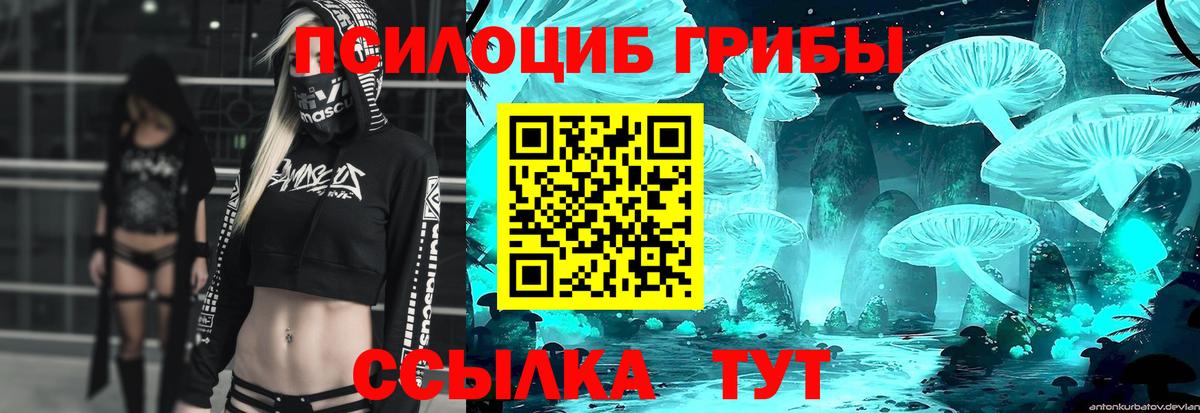 Галлюциногенные грибы ЛСД  Вход с VPN  Орёл  Галлюциногенные грибы Psilocybe 