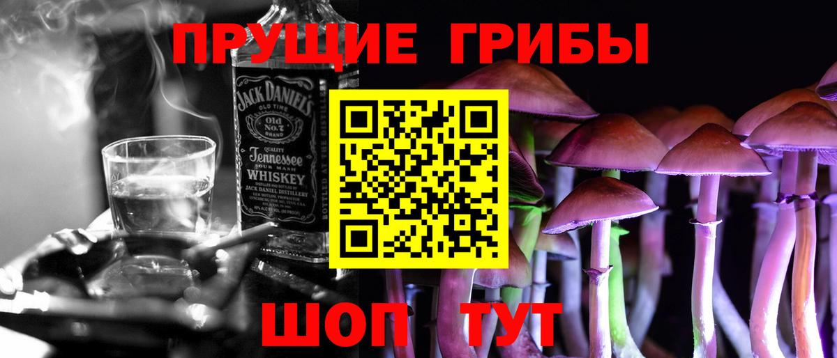 Псилоцибиновые грибы прущие грибы Орёл